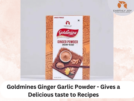 Goldmines Ginger Garlic Powder – Gives a Delicious taste to Recipes