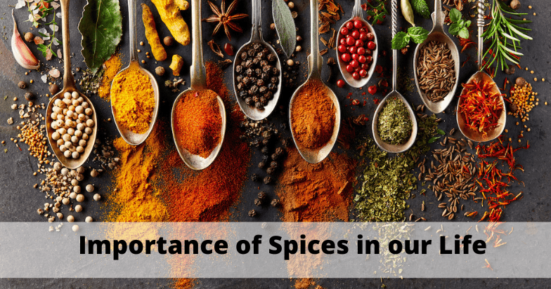 Importance of Spices in our Life